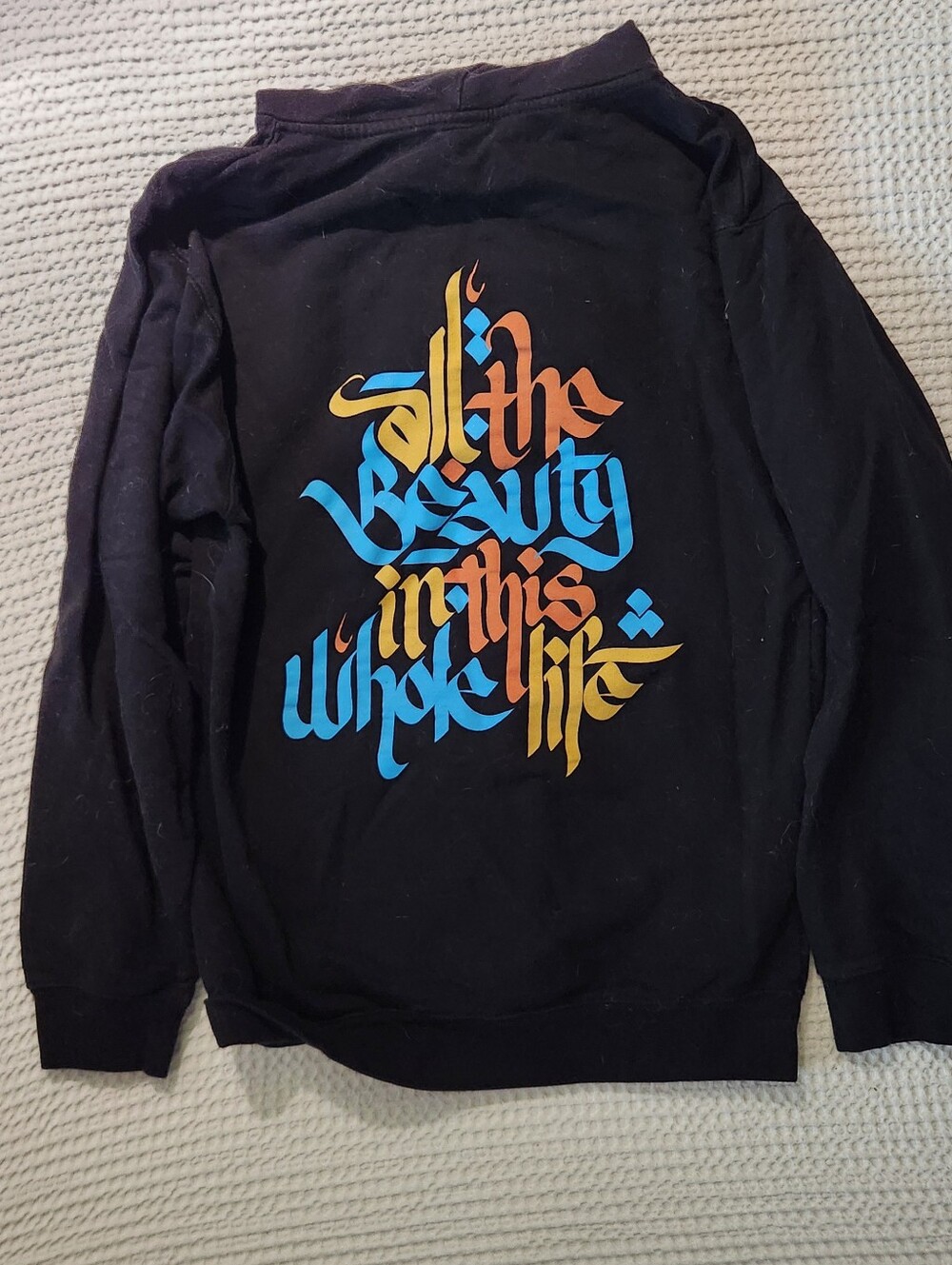 Brother Ali All The Beauty In The Whole World Zip Up